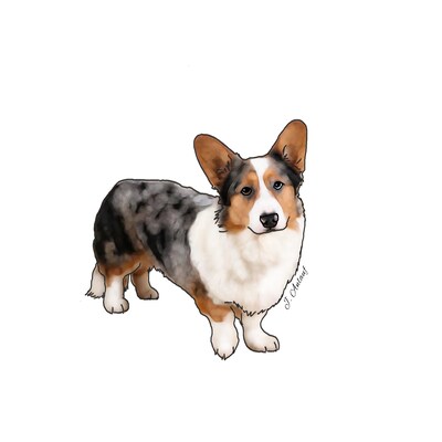 Cardigan Welsh Corgi (Design 4) - Printed Transfer Sheets for a variety of surfaces - image1